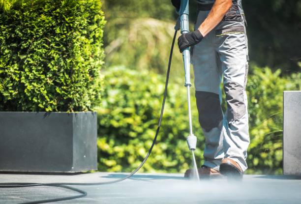 Best Spring Cleaning  in Dover Base Housing, DE